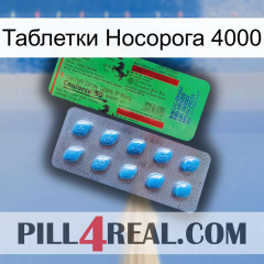 Таблетки Носорога 4000 new03